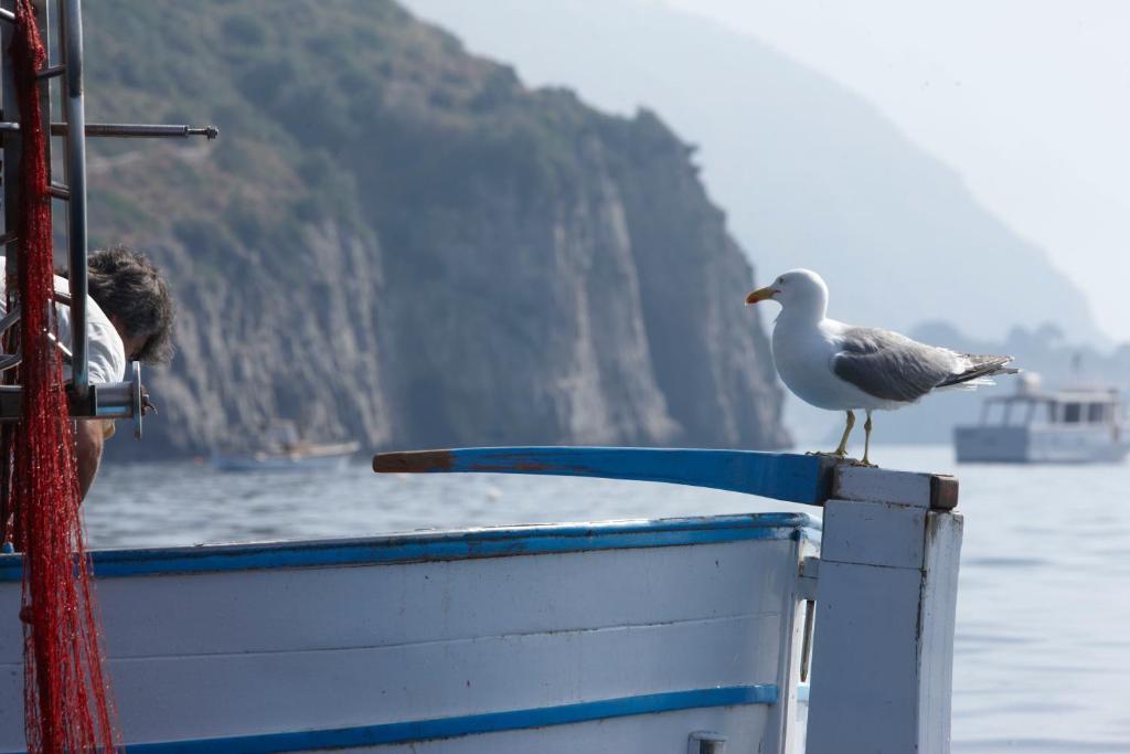 Taverna Del Capitano Marina del Cantone ภายนอก รูปภาพ